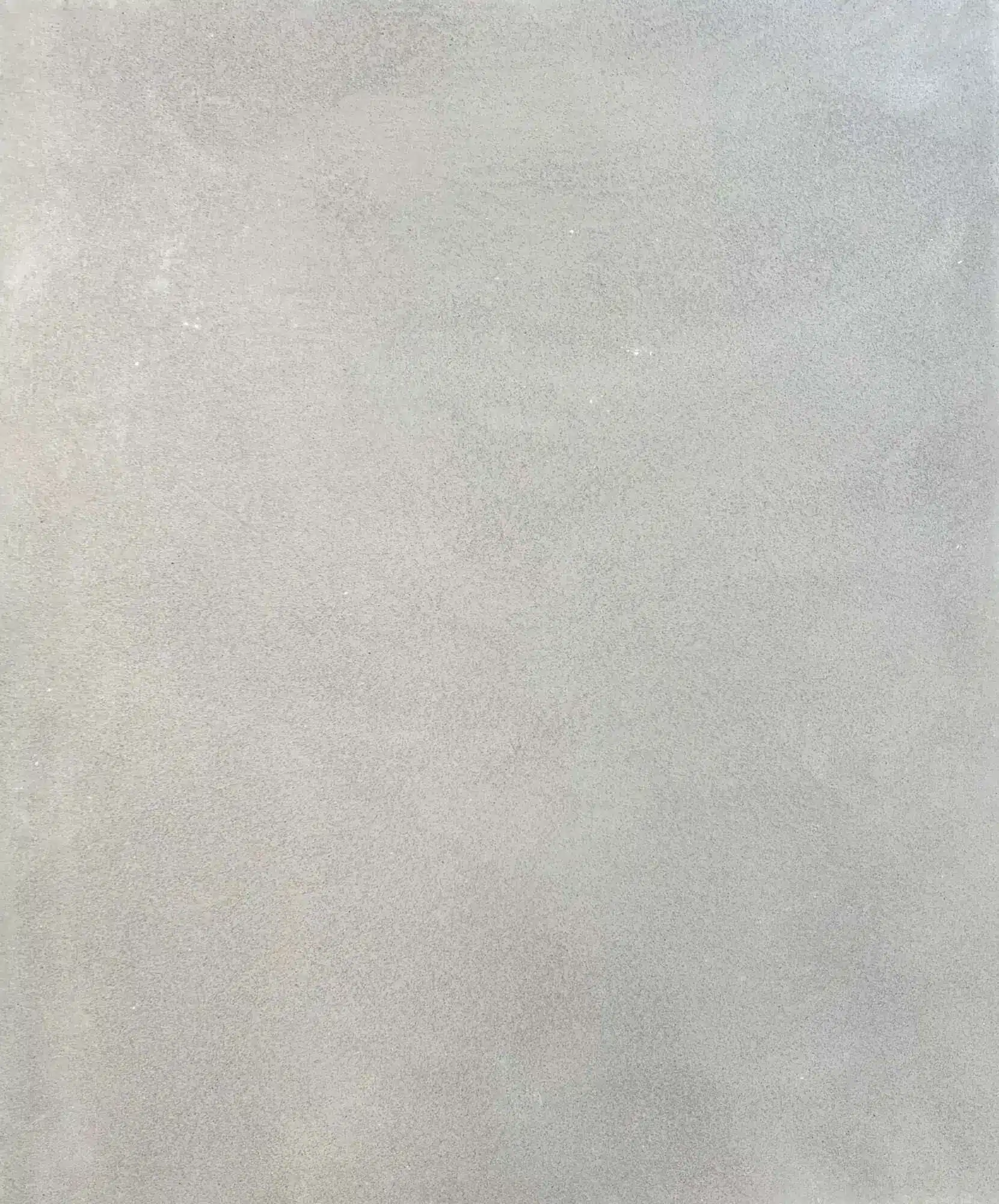 Rough_Ocala (1)
